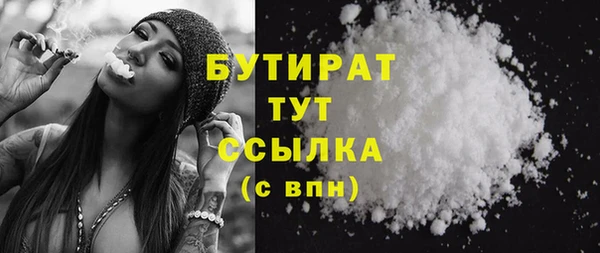 сатива Надым