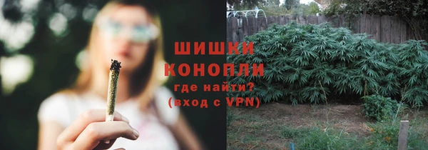 сатива Надым
