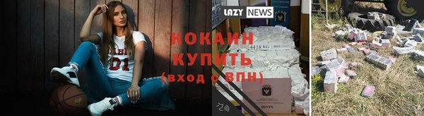 молекула духа Навашино