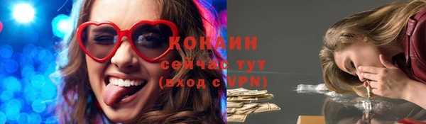 сатива Надым