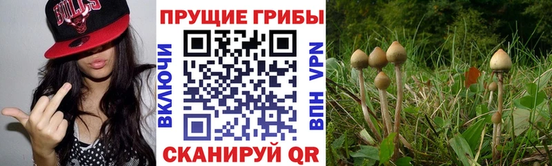 Галлюциногенные грибы мухоморы купить наркоту kraken рабочий сайт Лангепас