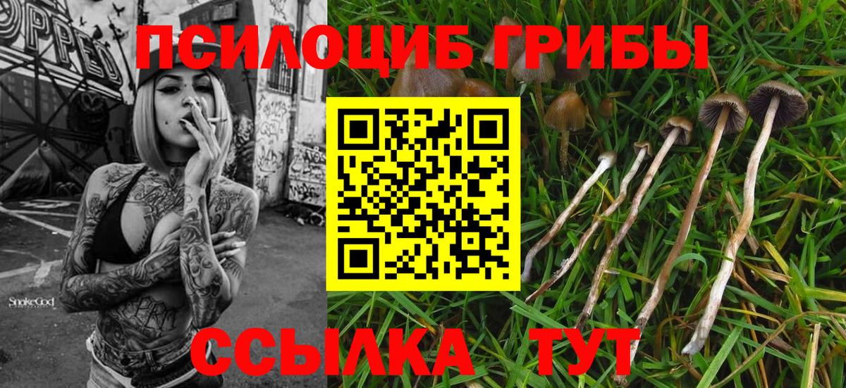 Лангепас  Галлюциногенные грибы GOLDEN TEACHER  Вход с VPN 