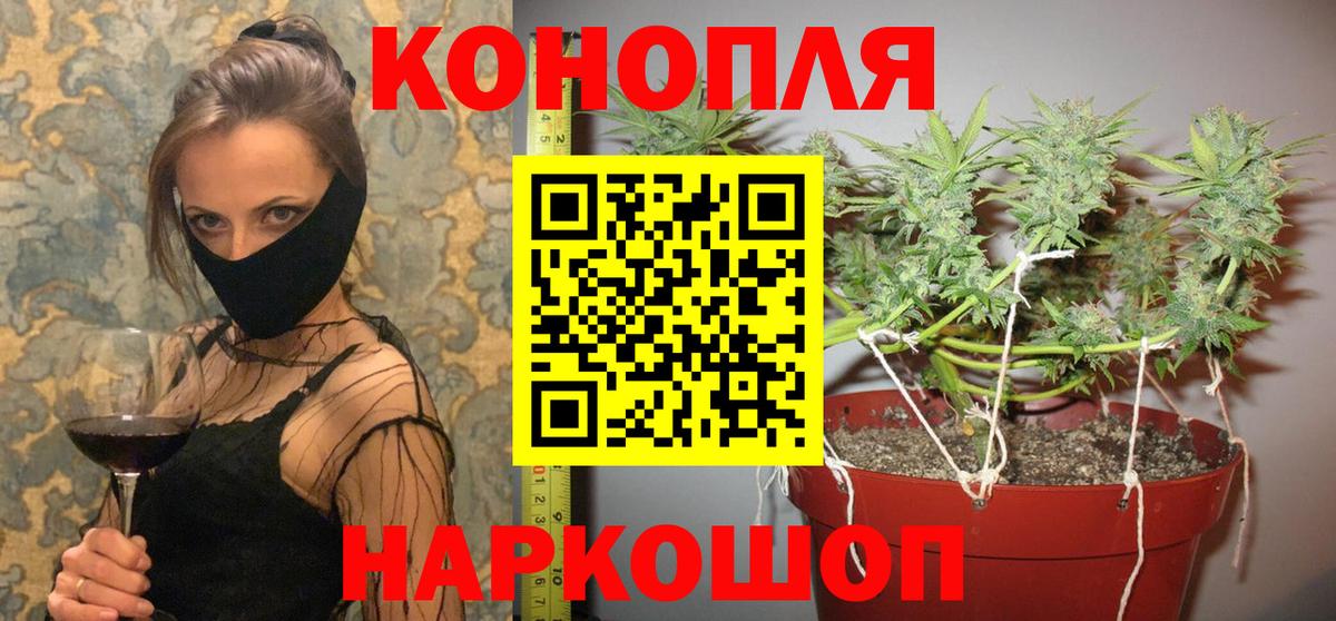 Бошки Шишки план Лангепас